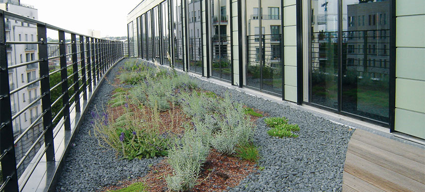 green roof drainage