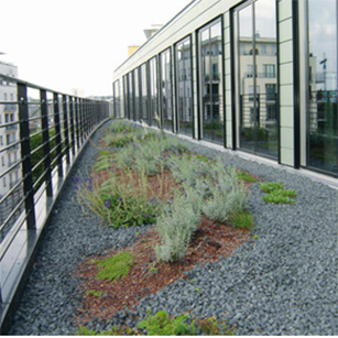 drainage products for green roofs