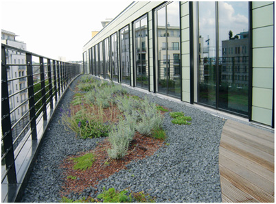 Green Roof Drainage